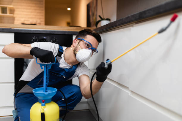 Best Emergency Pest Control  in Kenworth, IL