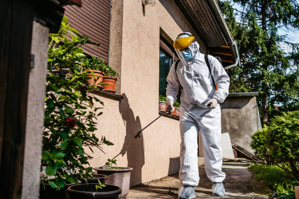 Reliable Kenilworth, IL Pest Control Solutions
