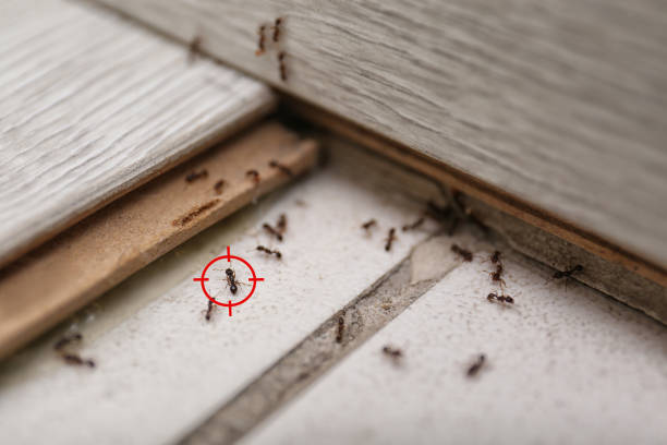 Pest Control Cost in Kenilworth, IL