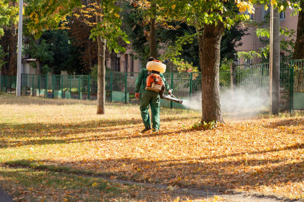 Best Best Pest Control Companies  in Kenworth, IL